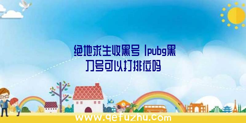 「绝地求生收黑号」|pubg黑刀号可以打排位吗